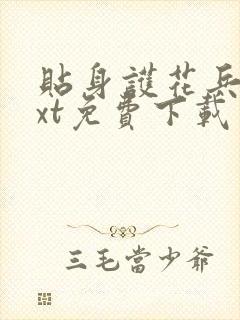 贴身护花兵王txt免费下载