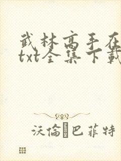 武林高手在异世txt全集下载
