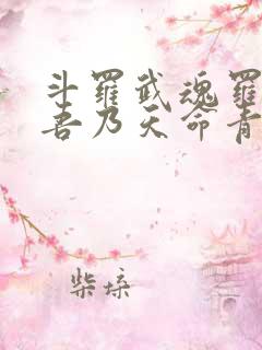 斗罗武魂罗三炮吾乃天命青龙