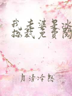 我老婆是冰山女总裁免费阅读最新