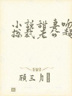 小说甜妻吻安:总裁老公超棒的