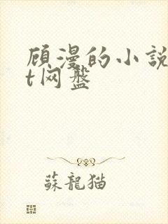 顾漫的小说txt网盘