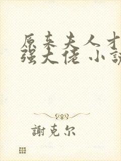 原来夫人才是最强大佬 小说