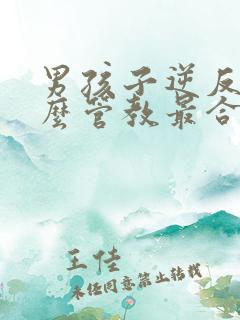 男孩子逆反期怎么管教最合适