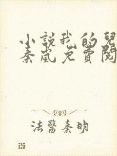 小说我的儿媳是秦岚免费阅读