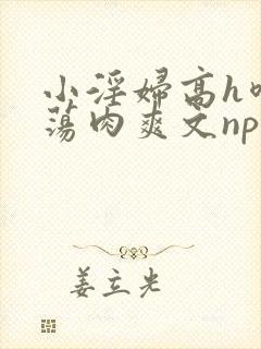 小淫妇高h喷水荡肉爽文np文