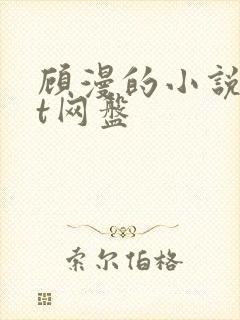 顾漫的小说txt网盘