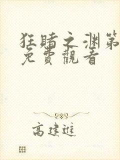 狂赌之渊第一季免费观看