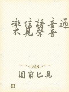 微信语音通话听不见声音