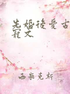 先婚后爱古言甜宠文