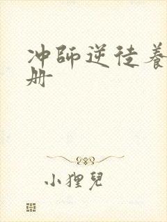 冲师逆徒养成手册