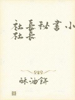 社长秘书小泽彻社长