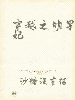 穿越之明星太子妃