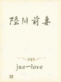 陆川前妻