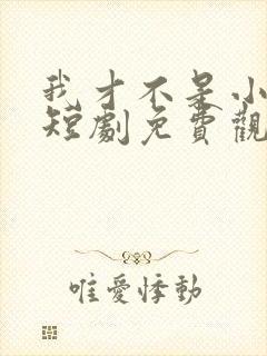 我才不是小可怜短剧免费观看全集