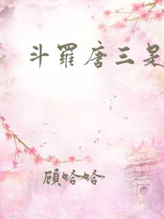 斗罗唐三是我哥