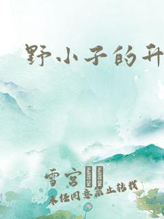 野小子的升官路