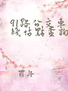 91路公交车路线站点查询表