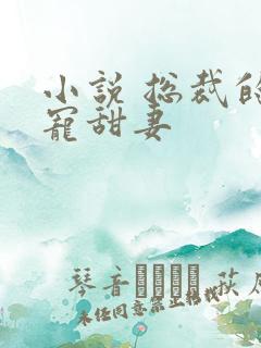 小说 总裁的独宠甜妻