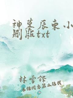 神墓辰东小说未删版txt