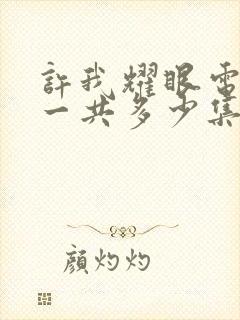 许我耀眼电视剧一共多少集