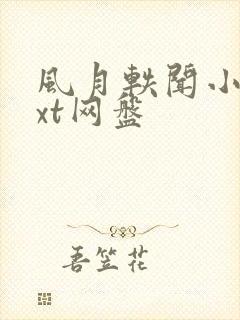 风月轶闻小说txt网盘