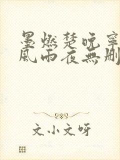 墨燃楚晚宁痴缠风雨夜无删减
