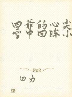 四爷的心尖宠妃雪中回眸小说