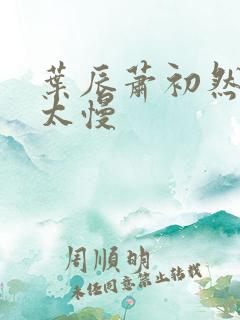 叶辰萧初然更新太慢