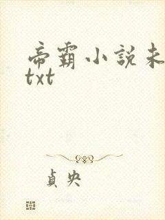 帝霸小说未删版txt