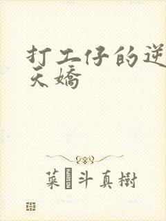 打工仔的逆袭楚天娇