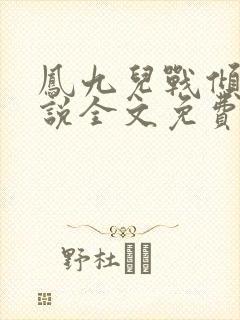 凤九儿战倾城小说全文免费阅读无弹窗