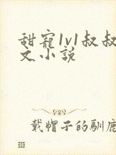 甜宠1v1叔叔文小说