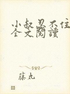 小叔忍不住小说全文阅读