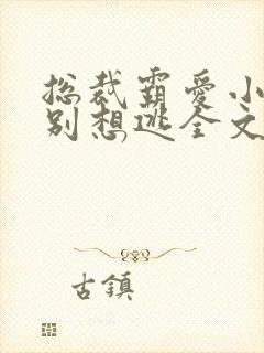 总裁霸爱小娇妻别想逃全文