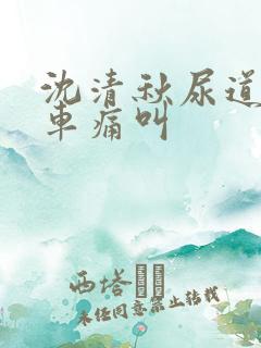 沈清秋尿道扩张车痛叫