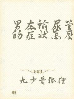 男左输尿管结石的症状怎么治疗