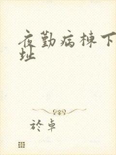 夜勤病栋下载地址