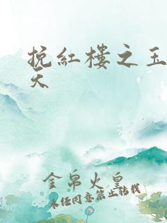 挽红楼之玉舞九天