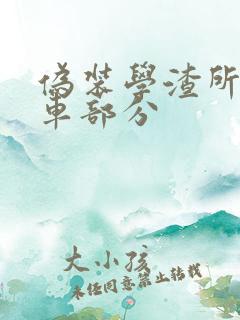 伪装学渣所有开车部分