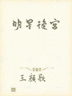 明星后宫