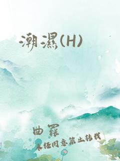 潮湿(H)