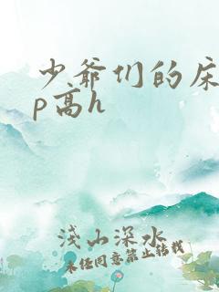 少爷们的床奴np高h