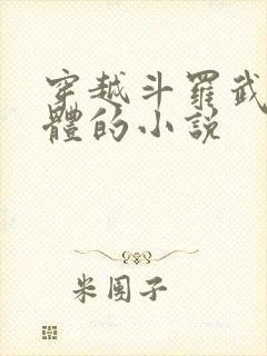 穿越斗罗武魂本体的小说