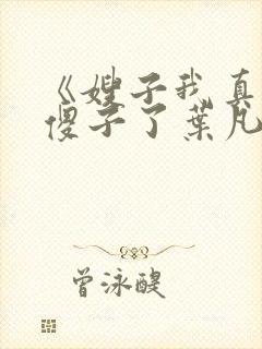 《嫂子我真不是傻子了叶凡》