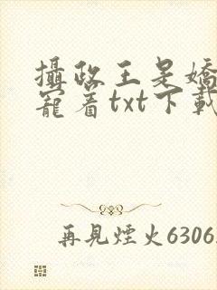 摄政王是娇病得宠着txt下载