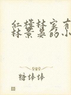 红楼林家有嫡子林景晏的小说