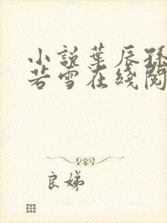 小说叶辰孙怡夏若雪在线阅读