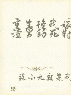 重生后我嫁给了渣男的死对头小