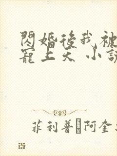 闪婚后我被大佬宠上天 小说